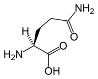 L-glutamine sur le régime cétogène